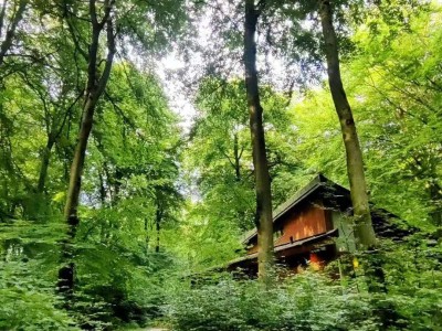 曲径通幽  